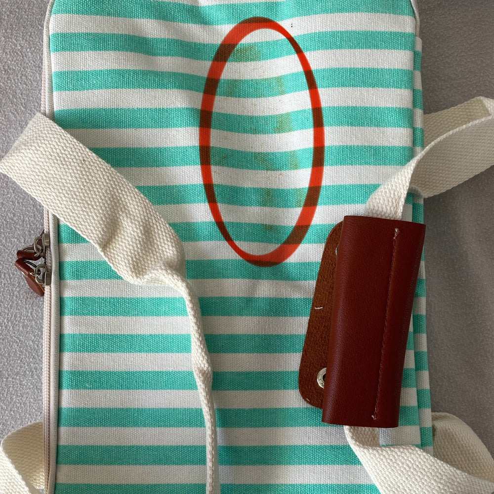 🔥 CLEARANCE – Coastal Cooler Bag (AS IS –  Cosmetic Soiling)