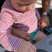 Replacement Part - Seatbelt Set
